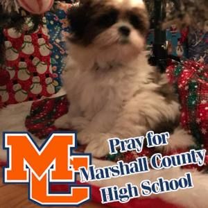 Meet your Posher, Connie